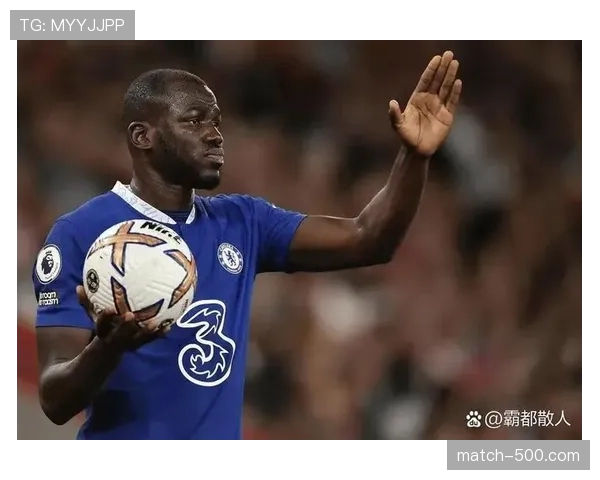 库利巴利切尔西后防屏障 塞内加尔中卫身体素质出色